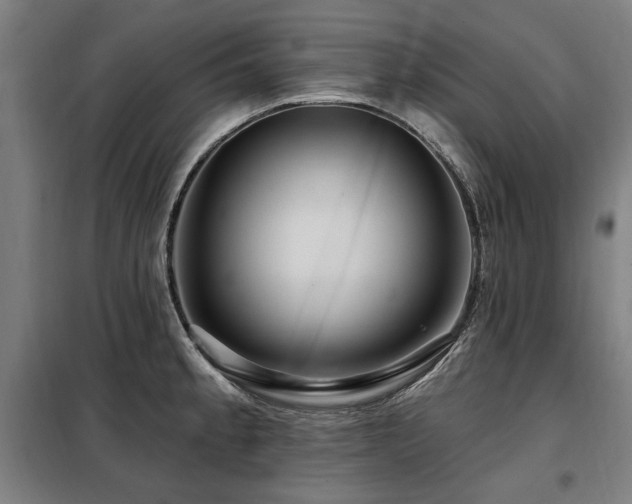 X0000098071189200804041118