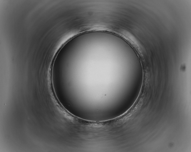 X0000098071190200804041118