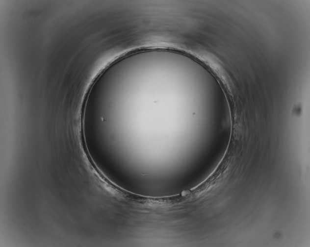 X0000098071191200804041118