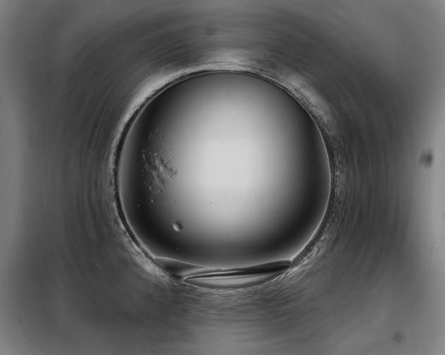 X0000098071192200804041118