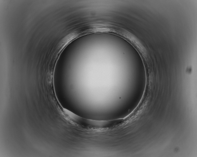 X0000098071193200804041118