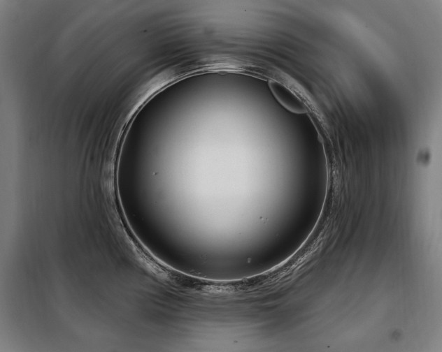 X0000098071194200804041118