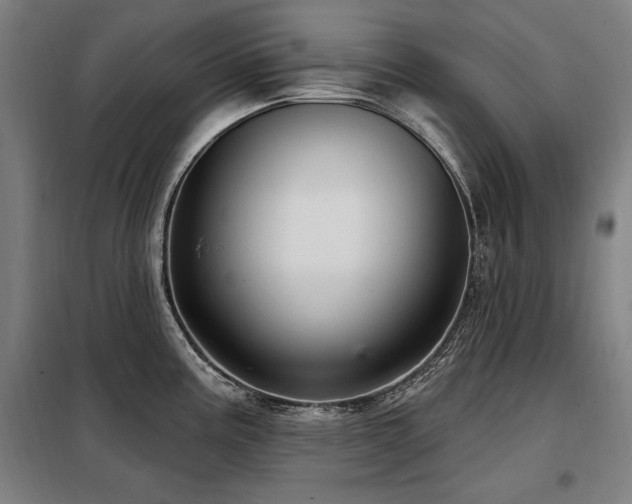 X0000098071195200804041118