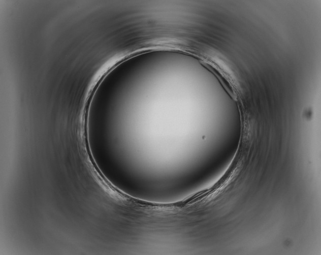 X0000098071196200804041118