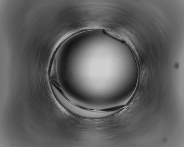 X0000098071197200804041118