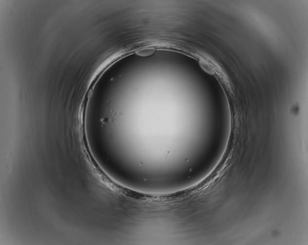 X0000098071198200804041118