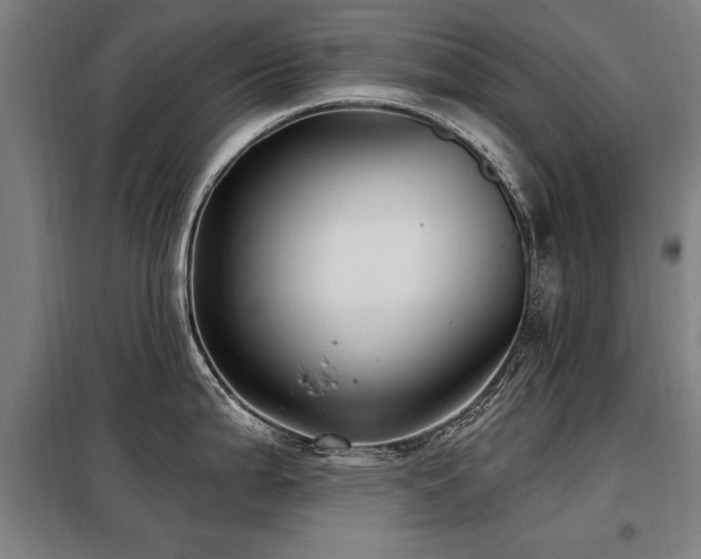 X0000098071199200804041118