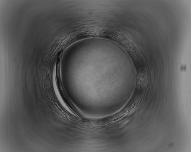 X0000098071202200804041117