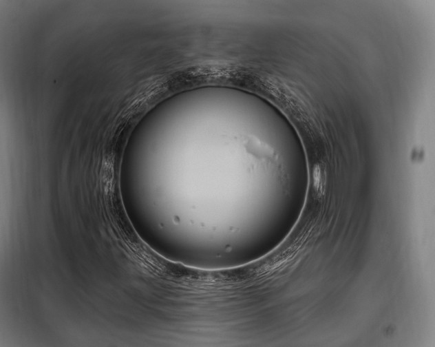 X0000098071203200804041117