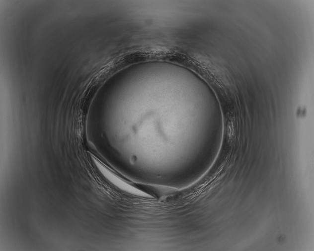X0000098071204200804041117