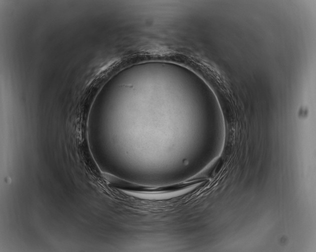 X0000098071205200804041117