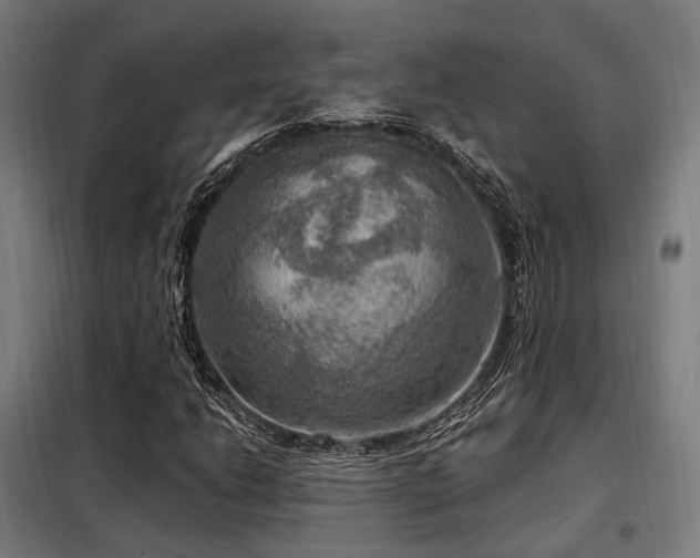 X0000098071206200804041117