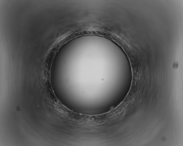 X0000098071207200804041117