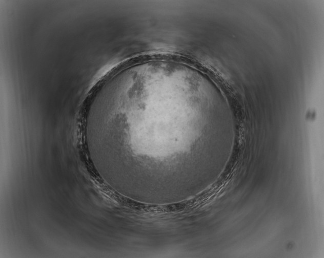 X0000098071208200804041117