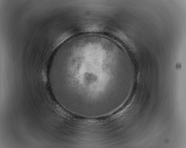 X0000098071209200804041117
