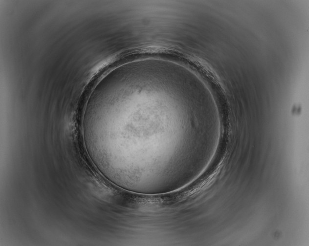 X0000098071210200804041117