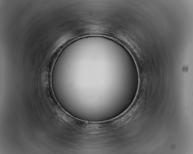 X0000098071211200804041117