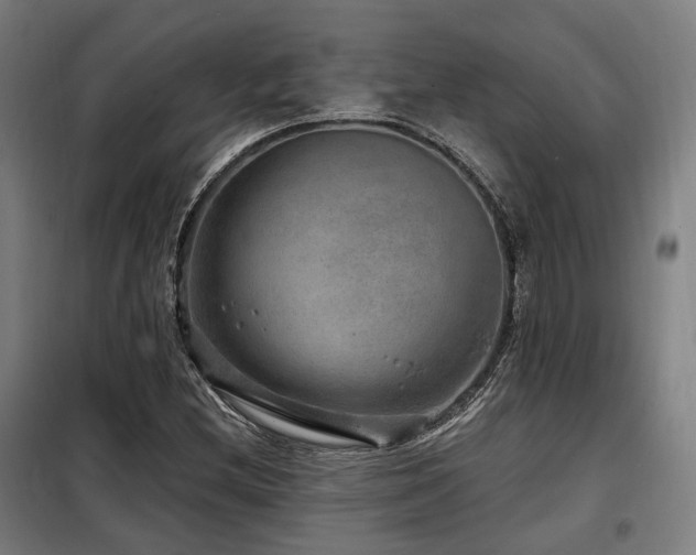 X0000098071212200804041117