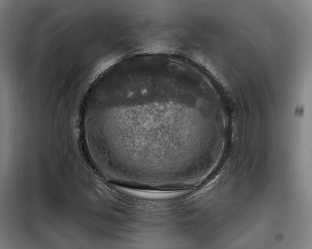 X0000098071213200804041117