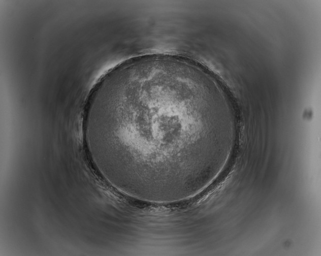 X0000098071214200804041117