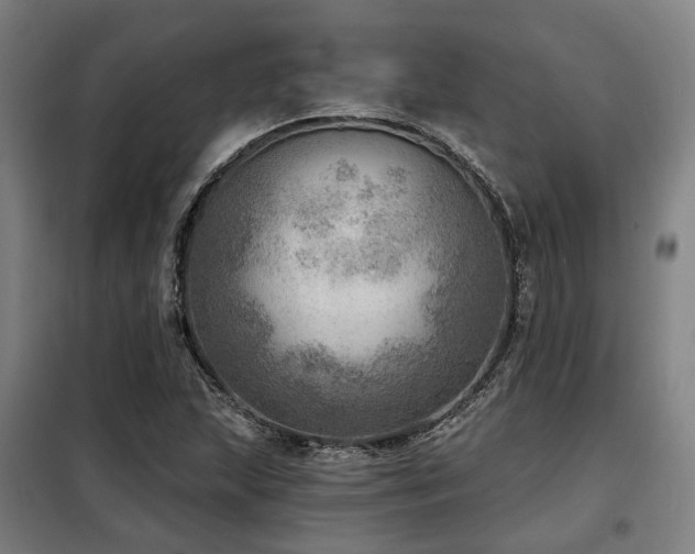 X0000098071215200804041117