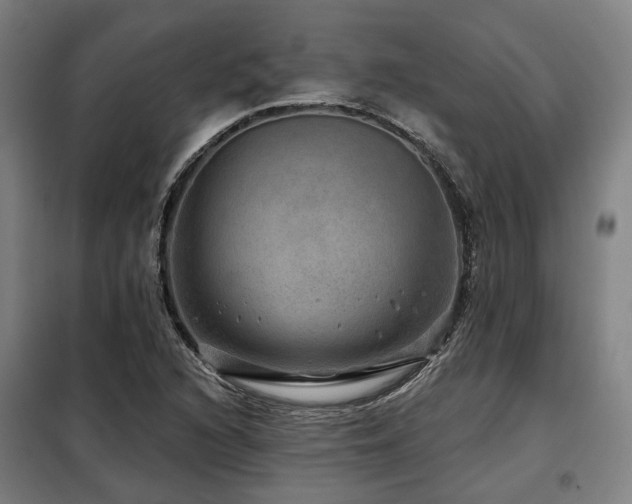X0000098071216200804041117