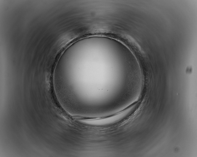 X0000098071217200804041117