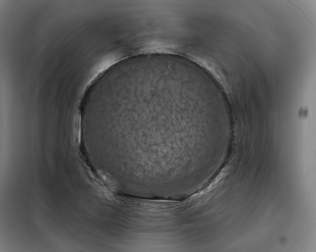 X0000098071219200804041117