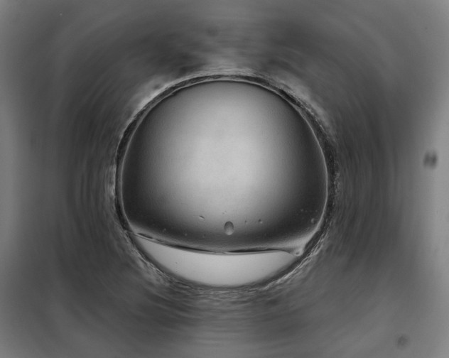 X0000098071220200804041117