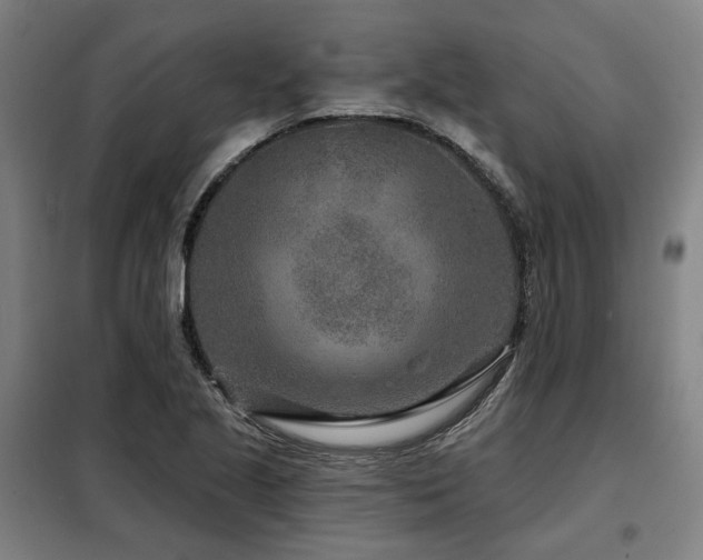 X0000098071221200804041117