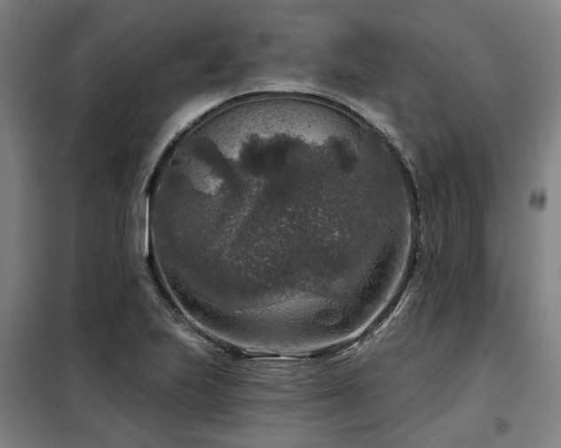 X0000098071223200804041117