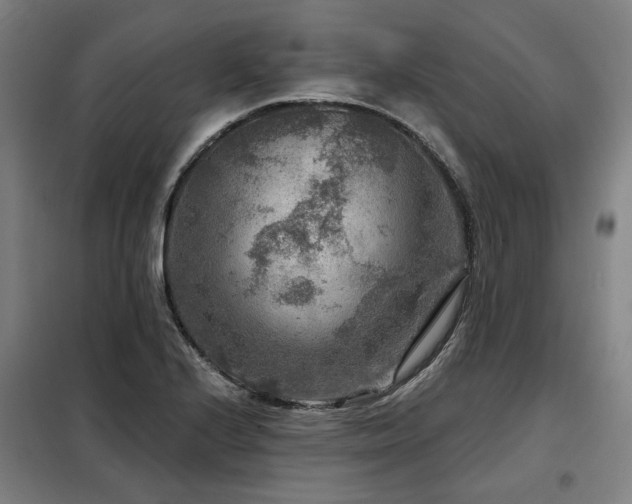 X0000098071224200804041117