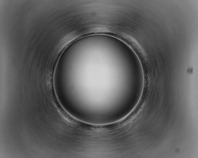 X0000098071225200804041117