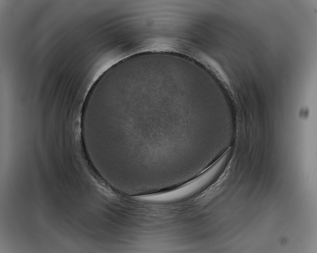 X0000098071226200804041117