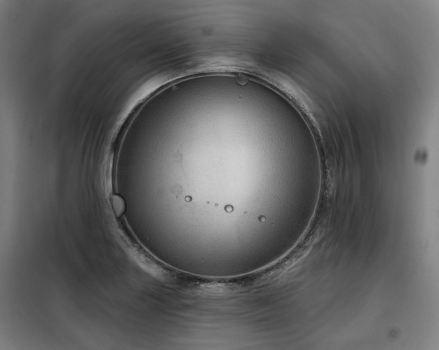 X0000098071227200804041117