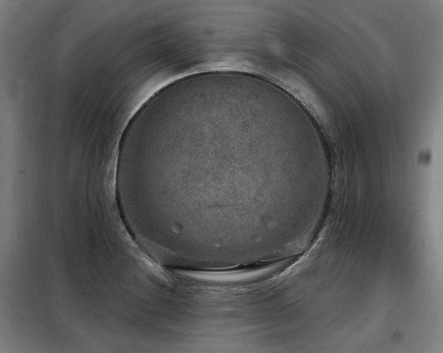 X0000098071228200804041117