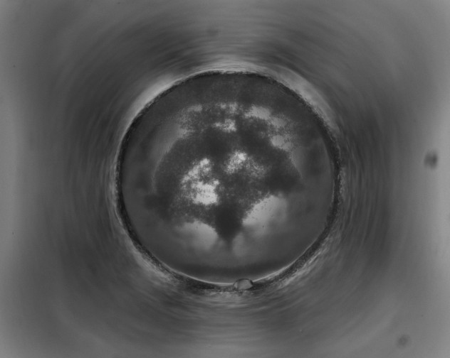 X0000098071229200804041117