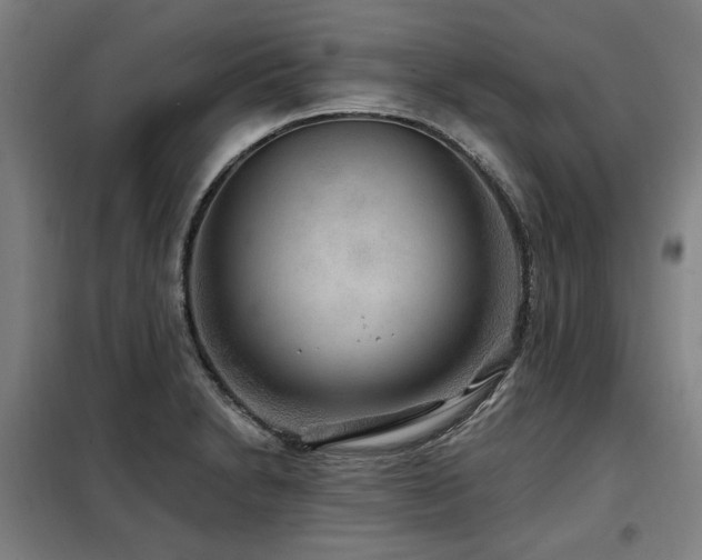 X0000098071230200804041117