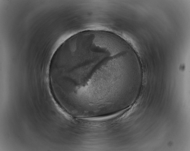 X0000098071231200804041117
