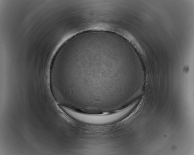 X0000098071232200804041117