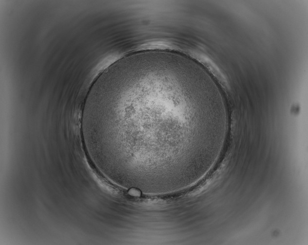 X0000098071233200804041117