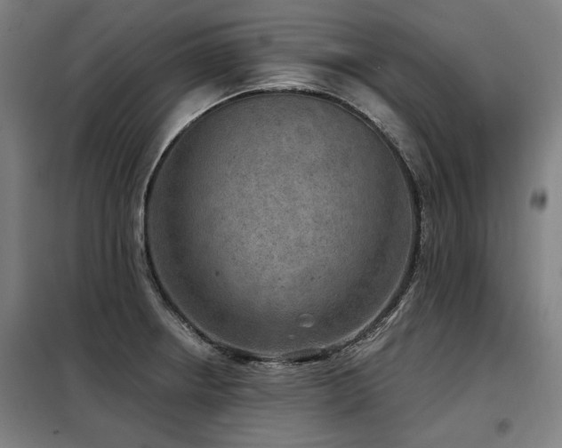 X0000098071234200804041117