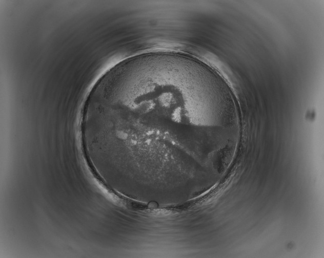 X0000098071235200804041117