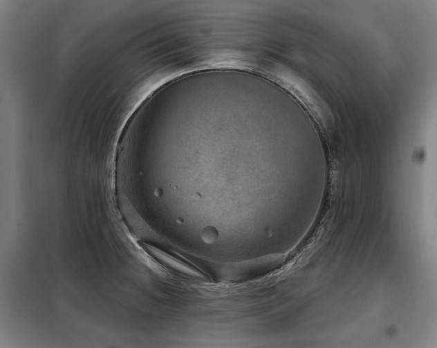 X0000098071236200804041117