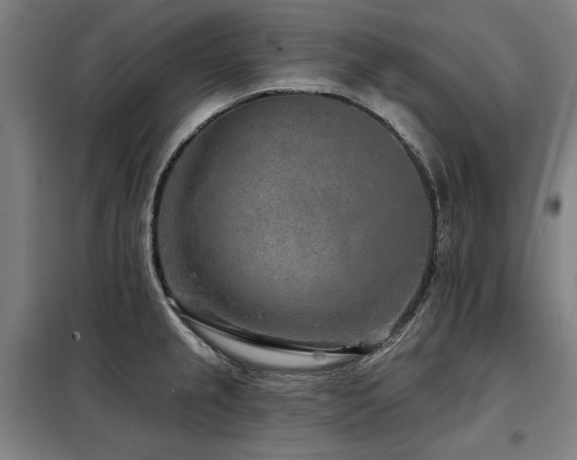 X0000098071237200804041117