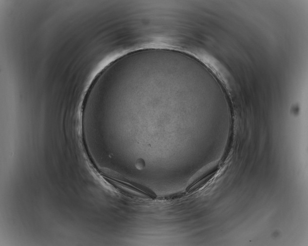 X0000098071238200804041118