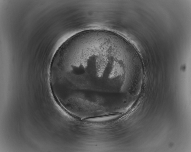 X0000098071239200804041118