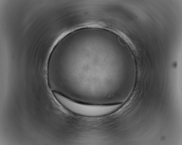 X0000098071240200804041118