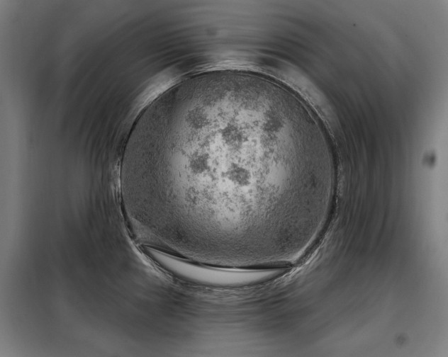 X0000098071241200804041118