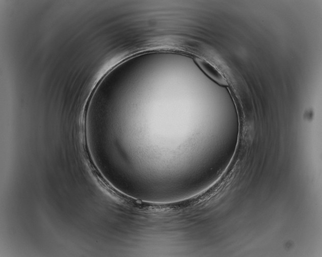 X0000098071242200804041118